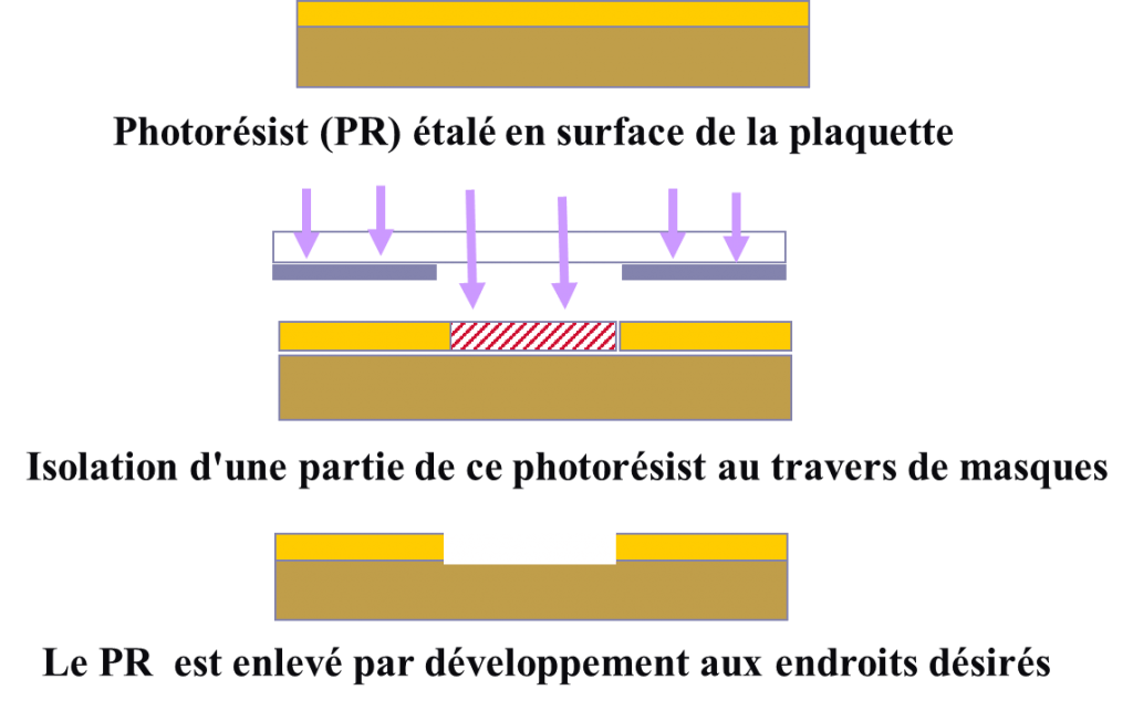 Plans de criblage - Illustration